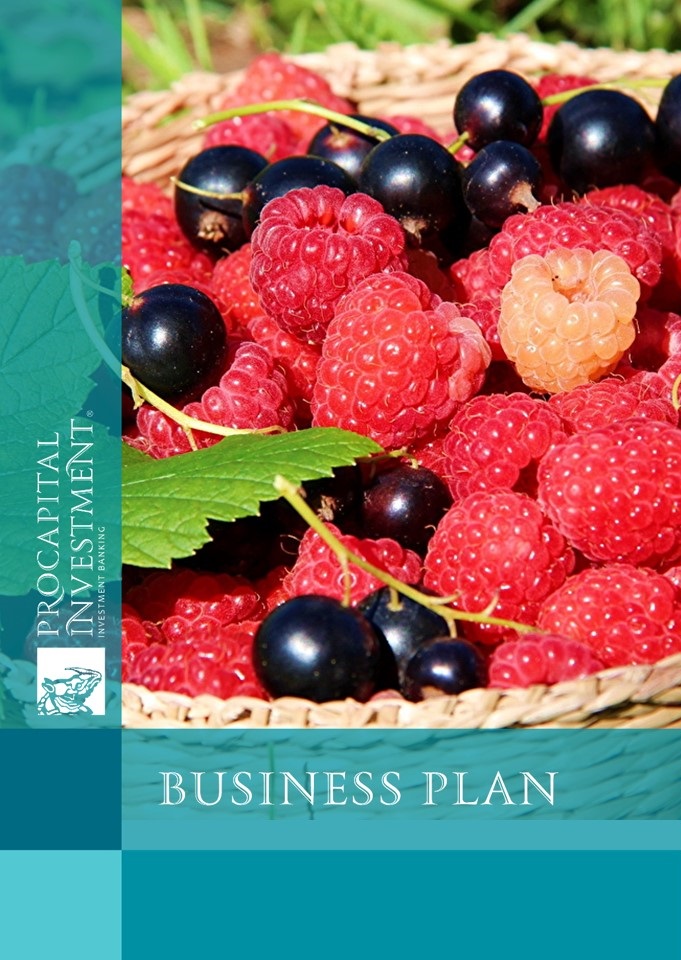 Business plan for the organization of a complex to grow raspberries and currants